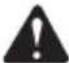 GREENWORKS 22197 - SYMBOLE - 10