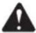 GREENWORKS 22197 - SYMBOLE - 8