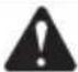 GREENWORKS 22197 - SYMBOLE - 10