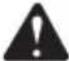 GREENWORKS 22197 - SYMBOLE - 8