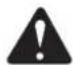 GREENWORKS 22077 - WARNING: - 1