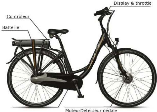 Granville Evolve Nexus7 Luxe - Trouble-shooting - 2