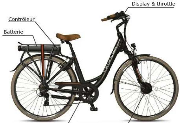 Granville Etrend RD7 - Caracteristiques du Granville E-bike - 2