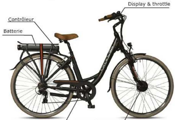 Granville Evolve RD7 Rigid - \section*{Caracteristiques du Granville E-bike} - 2