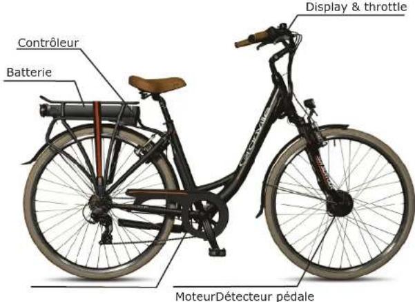 Granville Etrend Nexus8 - Caractéristiques du Granville E-bike - 2