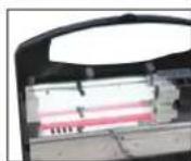 Aquatic Nature Evolution 1 - Eclairage - 3