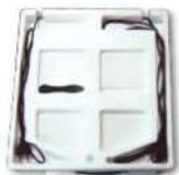 Aquatic Nature Evolution 1 - Mise en place - 2