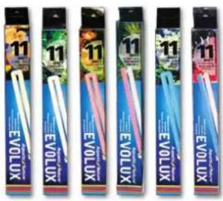 Aquatic Nature Evolution 1 - Eclairage - 1