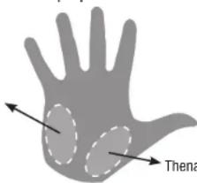 Accu-Chek Aviva Nano - Bloedglucosemetingen op alternatieve prikplaatsen (AST) - 1