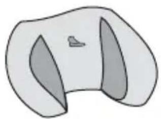Boulgom MaxiConfort 2 - D - 19