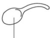 DOMO DO9176RK - PARTS - 2