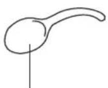 DOMO DO9176RK - ONDERDELEN - 4