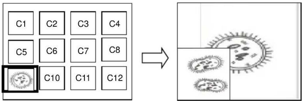Lumens DC193 - 7.19我要影像比對(比較即時影像與儲存影像(PIP)) - 1