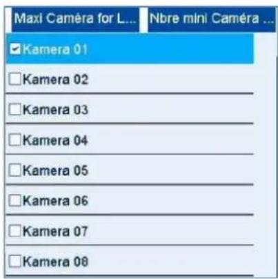 ABUS HDCC90021 - Utilisation liste des caméras - 1