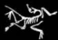 Arc'teryx Voltair 19568 - RECOMMANDATION CONCERNANT LE BRUIT - 1