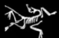 Arc'teryx Voltair 19568 - ADVERTENCIAS - 1