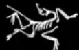 Arc'teryx Voltair 19568 - WARNING - 1