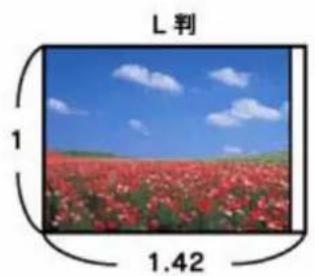 EPSON PX1004 - 印刷設定をチエック - 4