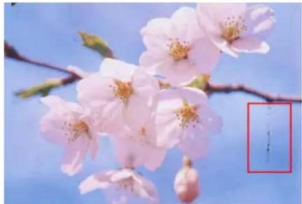 EPSON PX1004 - 印刷品質 /結果が悪い-チエック 2 印刷面がこする /污る - 1