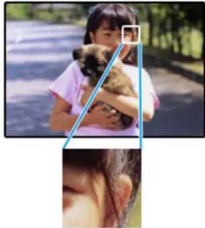 EPSON PX1004 - 適切画素数の写真デーた準備 - 1