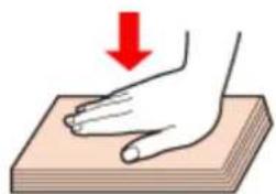 EPSON PX1004 - 参考 - 1