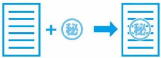 EPSON PX1004 - StansFMAKc - 1