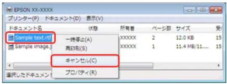EPSON PX1004 - ? - 2