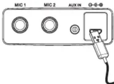 iDance Party Ball 2 BB10K - Battery Safety Notes - 1
