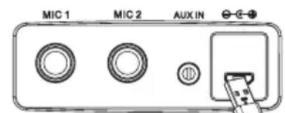 iDance Party Ball 2 BB10K - WAARSCHUWING - 1