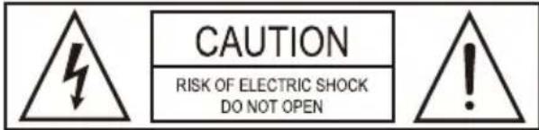 iDance Party Ball 2 BB10K - 1