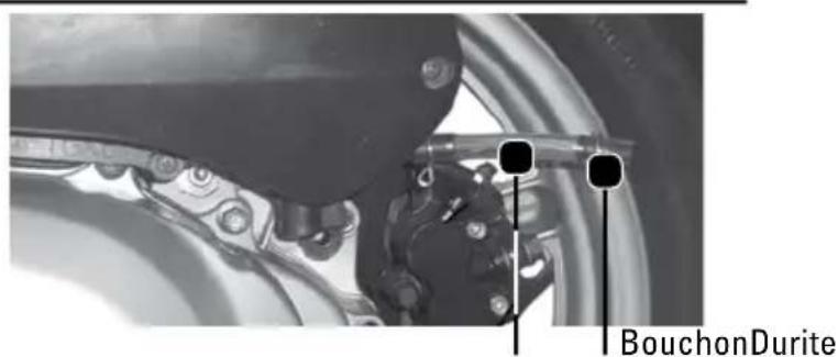 Tell Logik 125 - Durite d'huile résiduelle - 1