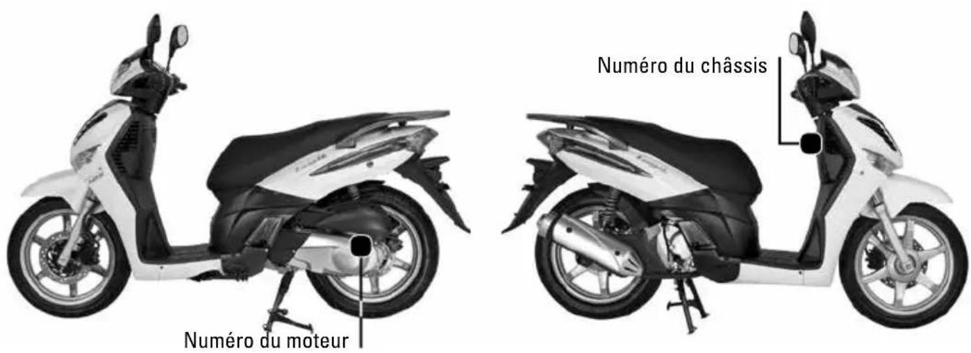 Tell Logik 125 - Identification du vehicule - 1
