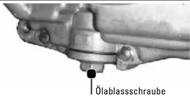 Tell Logik 125 - ACHTUNG: Das Ölorida die obere Markierung des Olmessstabes nicht überschreiben! - 1