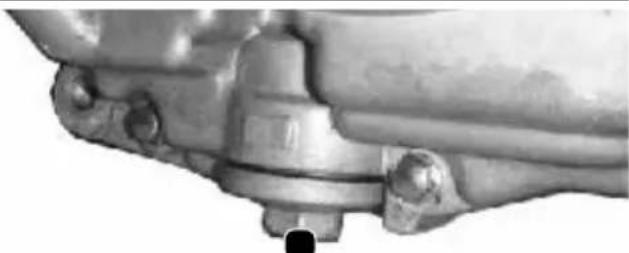 Tell Logik 125 - ATTENTION: L'huile ne doit pas dépasser la marque supérieure de la jauge! - 1