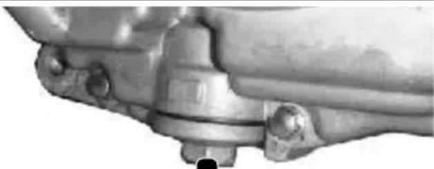 Tell Logik 125 - ATTENZIONE: L'olio non deve superare la tacco superiore dell'asta di livello! - 1