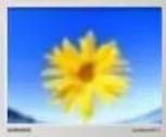 SAMSUNG ST91S - Windows XP/2000 - 4