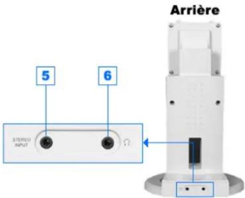 SAMSUNG ST91S - (La configuration au dos du moniteur peut être différente d'un modèle à l'autre.) - 24