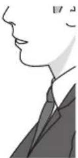 OLYMPUS DS9500 - Perinteinen sanelutyyli - 2