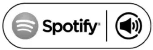 PerfectPro Worktube - Spotify Connect - de basics - 1