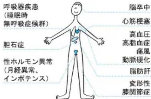 TANITA RD903 - 肥满にともんだて起こりやい病気 - 1