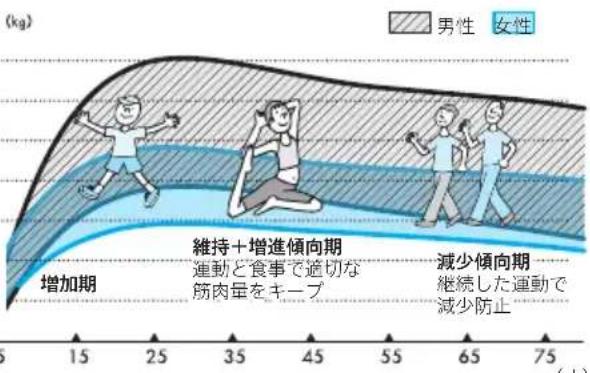 TANITA RD903 - 筋肉量は、年龄や性別にと之異なりま。 - 1