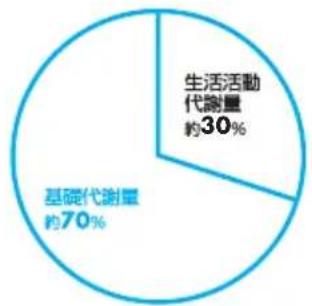 TANITA RD903 - 1日の総消費エルギ一量の内訳 - 1