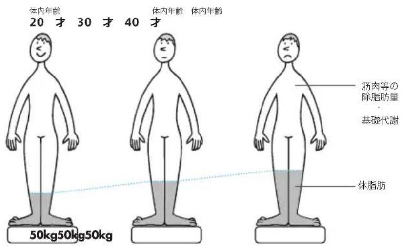 TANITA RD903 - 同体重モ、体組成によ体内年齢が変わりま。 - 1