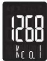 TANITA RD903 - MEMO - 4