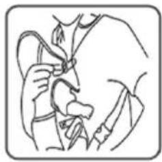 Baninni Sacco Prestigio BN180 - 1.Face in Position - 5