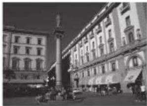 PANASONIC TH43LFE8J - メモリー機能の概要 - 1