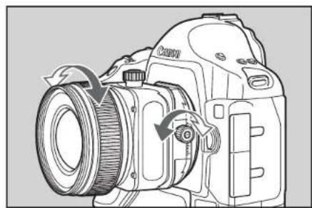 CANON TSE 17MM F4L - Using Shift - 2