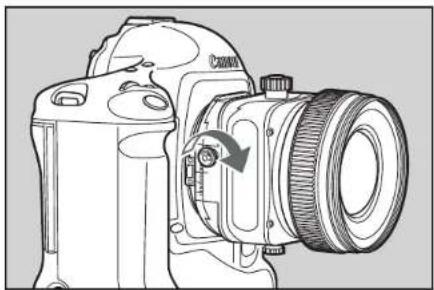 CANON TSE 17MM F4L - Using Shift - 3