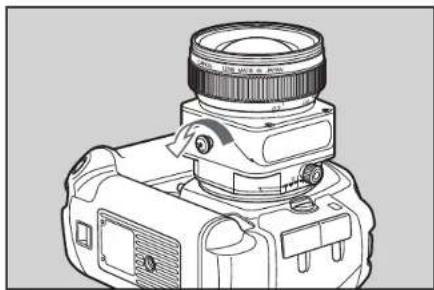 CANON TSE 17MM F4L - Using Tilt - 1