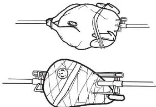 Broil King Regal S 420 Pro - HOW TO USE A PROBE THERMOMETER - 1